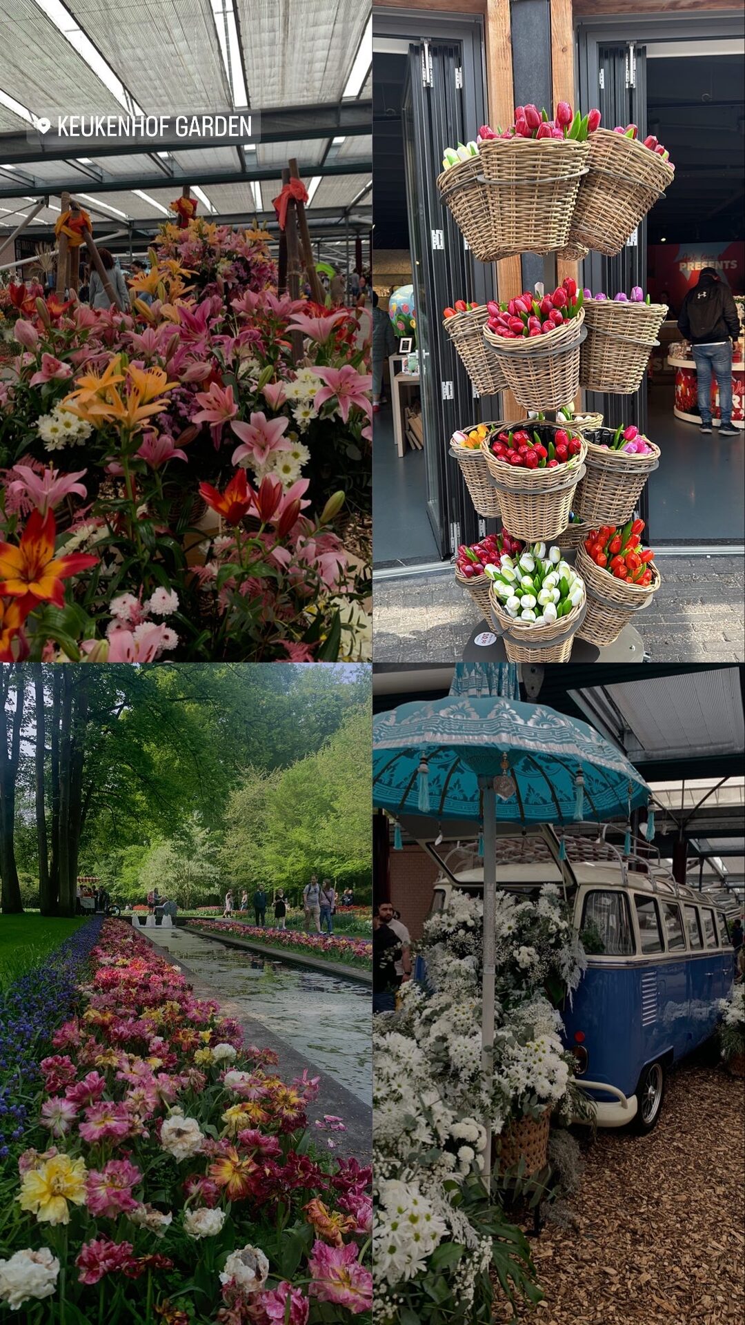 Keukenhof